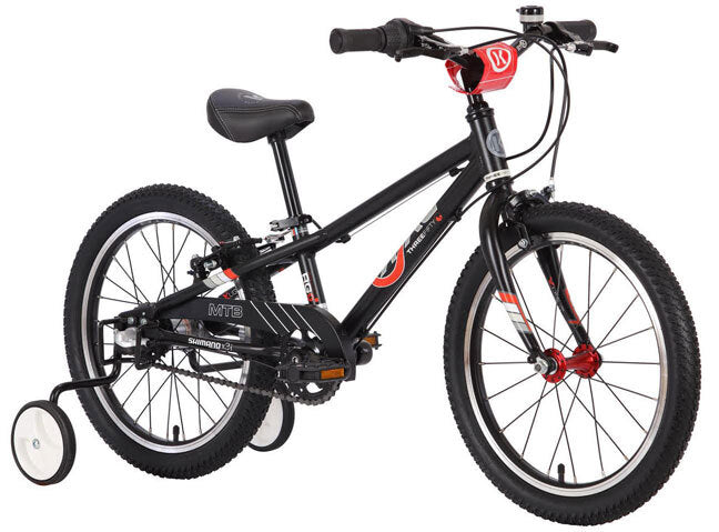 ByK E-350 Boys Mountain Bike