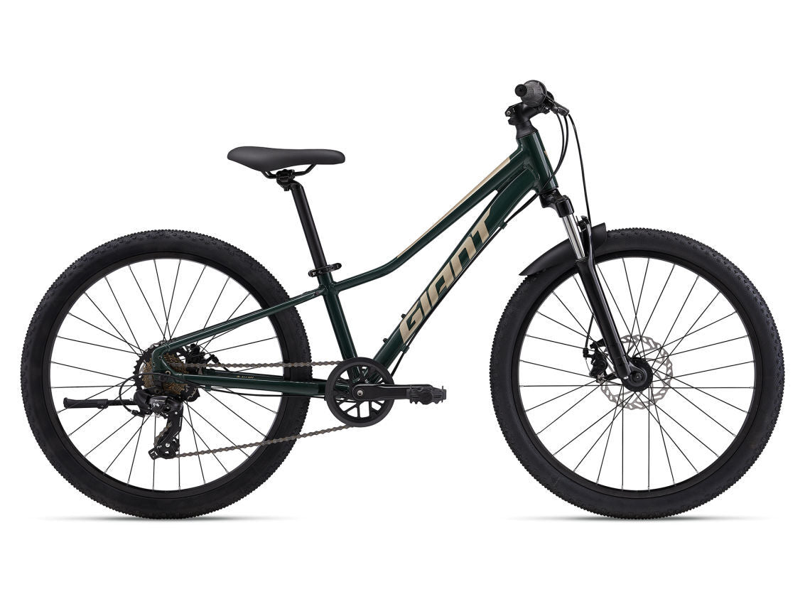 Giant Talon 24 Disc Kids MTB