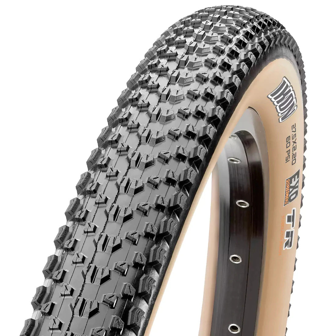 Maxxis Ikon 29 x 2.20 3C MaxxSpeed EXO TR Skinwall Fold Tyre