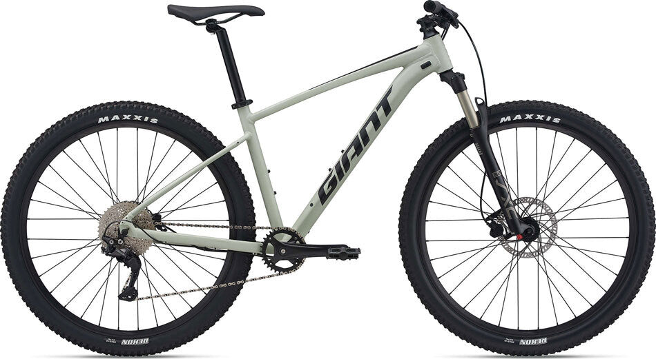 2021 Giant Talon 29 1 Mountain Bike [Size: XL] [Colour: Desert Sage]
