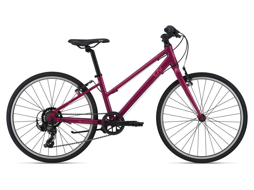 2022 Giant Liv Alight 24 Girl's Bike