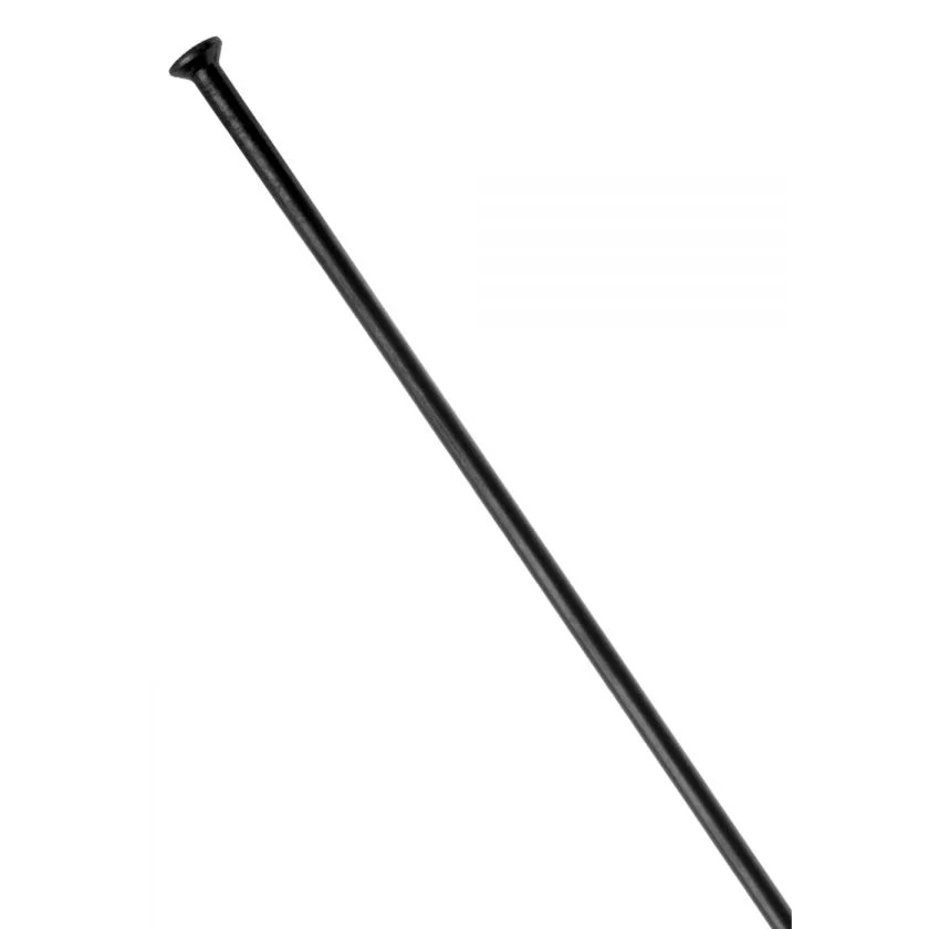 DT Swiss Spoke AeroComp 2.0 Straight Pull Black [Length: 266mm]